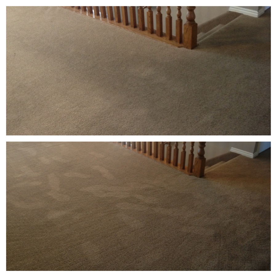 Utah County Mom EcoFresh Carpet Care Review and Giveaway (ENDED)