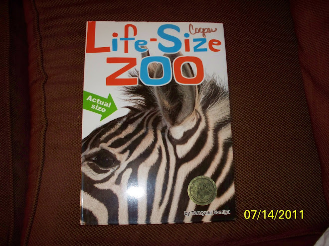 Life-Size Zoo book