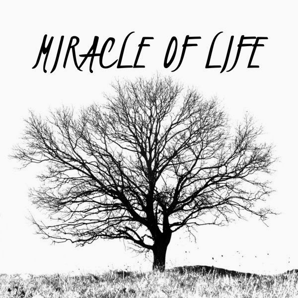 MIRACLE OF LIFE