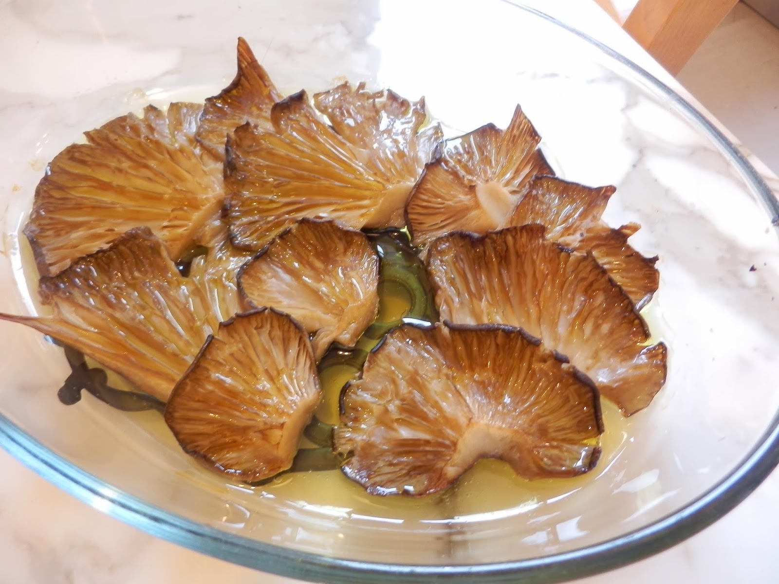 Cherry Chermash: description, characteristics of the variety and reviews Cherry Chermash: description, characteristics of the variety and reviews
