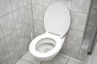 10 Cerita Unik dan Menarik Toilet Terkenal 10 Cerita Unik dan Menarik Toilet Terkenal