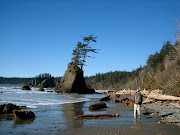 South Beach Wilderness Trail, Olympic National Park (img )