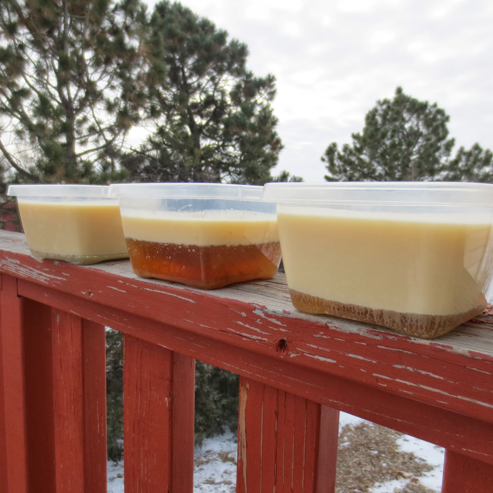 Make Bird Seed Blocks at Home