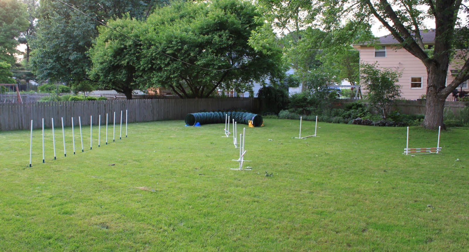 Wags N Woofs Backyard Agility