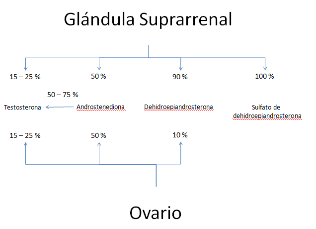 order viagra with dapoxetine online canada order viagra with dapoxetine online canada
