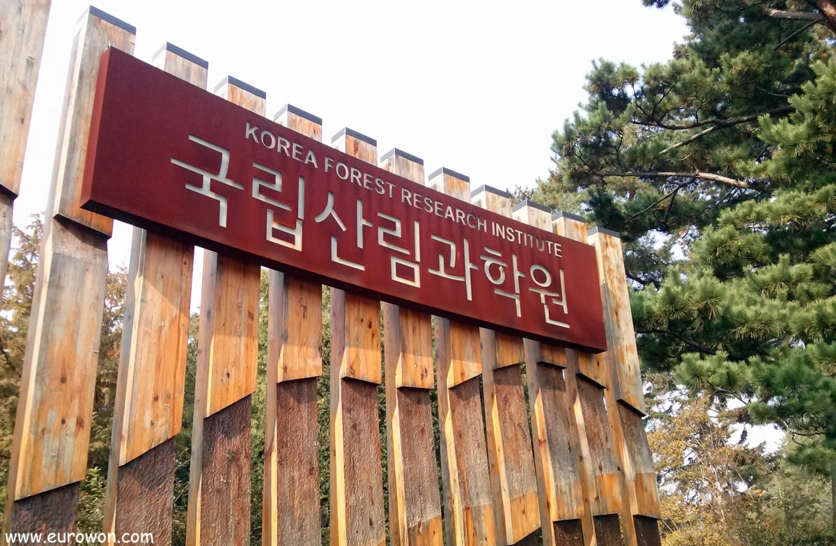 Una tarde otoñal en el Arboreto Hongneung de Seúl [Eurowon]