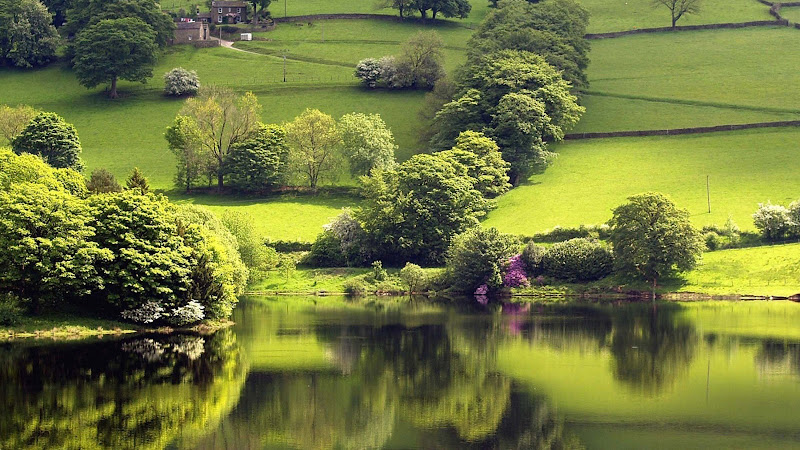 mobile wallpapers title=