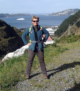 Ngauranga Gorge track, looking into Wellington Harbour