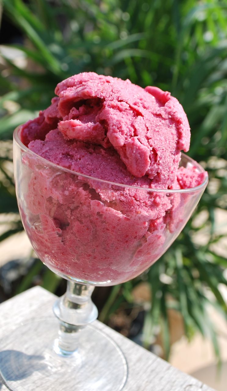 Scrumpdillyicious Canada Day BlackberryStrawberry Gelato