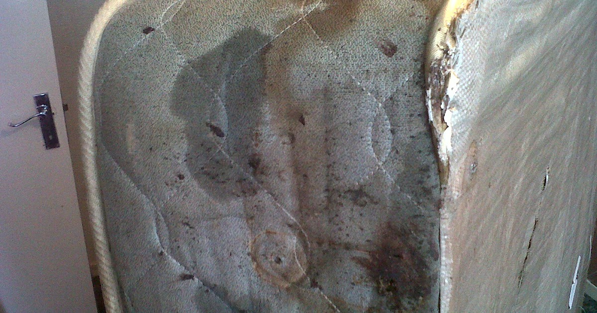 Bed Bug Control London Bedbugs London Treatments & Advice Items