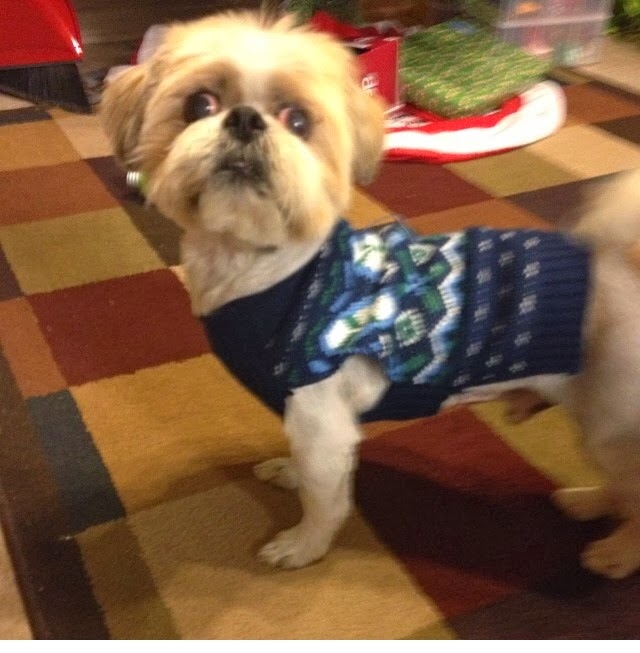 Always Blabbing John Paul Pet Grooming Pack review and giveaway