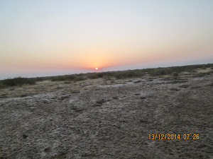 Sun rising over the Little Rann of Kutch .