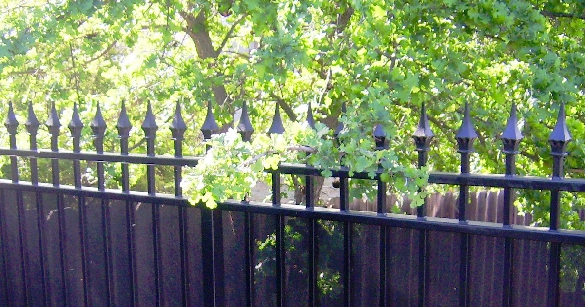 Wrought Iron Designs: Privacy Screening