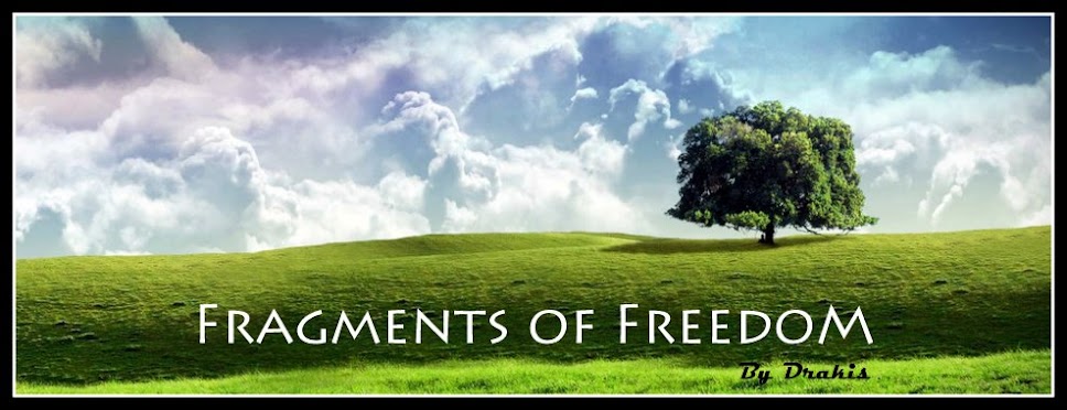 Fragments of Freedom