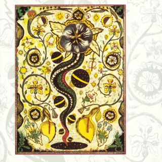 s day lyrics steve earle steve earle quot s day quot lyrics lyrics s day lyrics steve earle steve earle quot s day quot lyrics lyrics