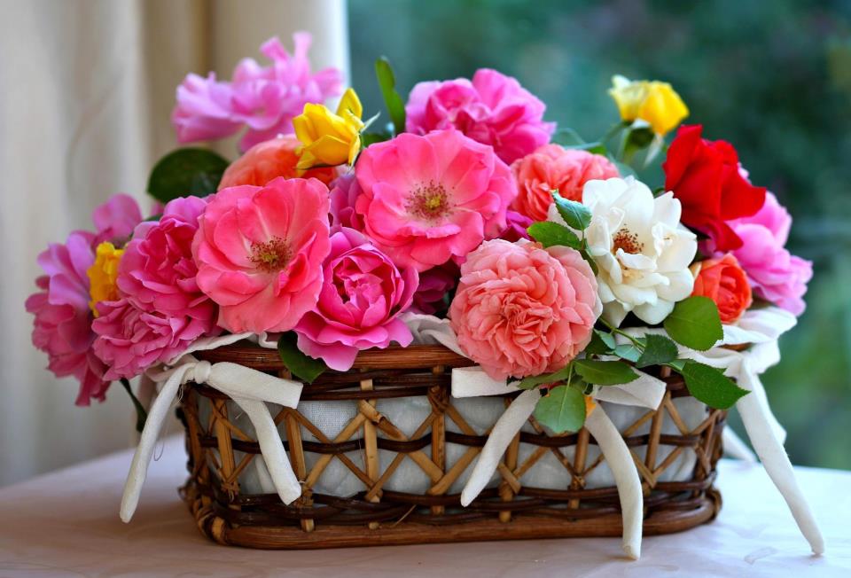 Flowers Facebook Timeline Covers Facebook Banners Timeline Covers