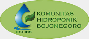 Komunitas Hidroponik Bojonegoro