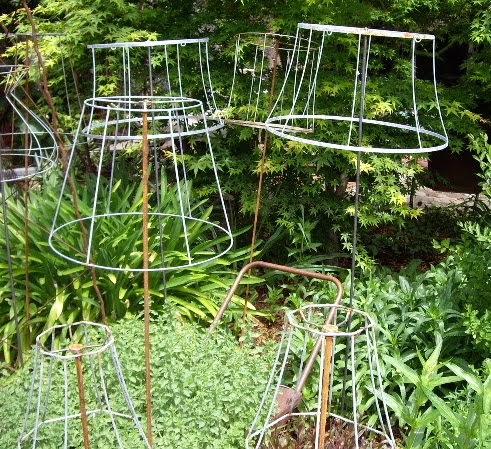 The Creative Gardener: Garden Shade!