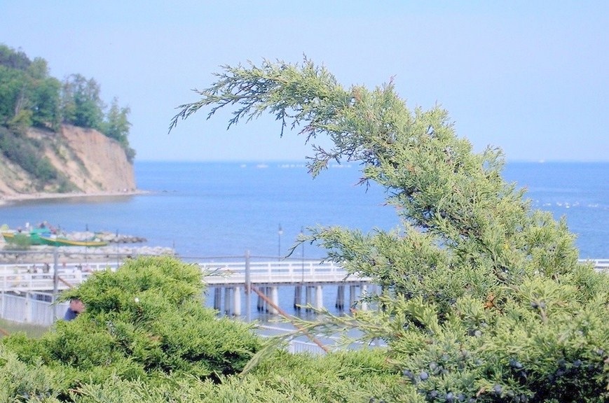 orla11+(Kopiowanie).jpg