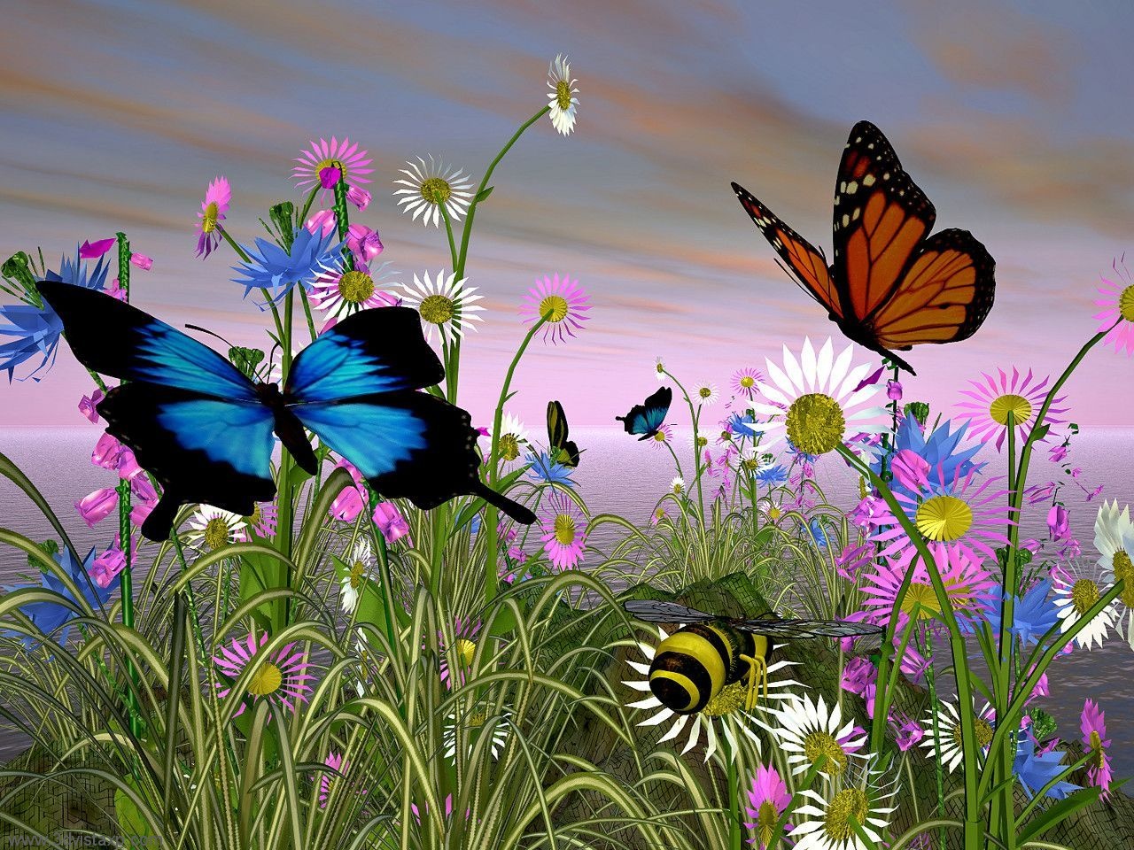 species of butterflies species of butterflies