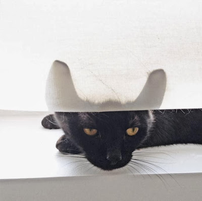 Asia Gwis/Kavka - a new beginning, Kickcan & Conkers