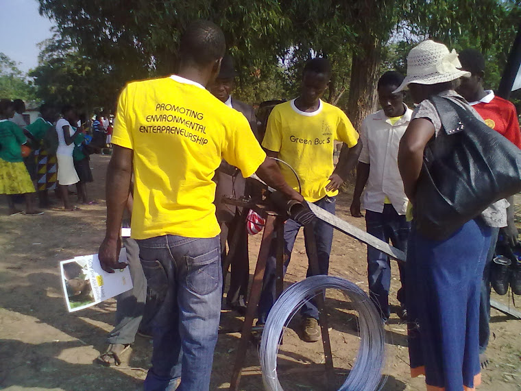 National Association of Youth Organisations (NAYO): Zimbabwe Youth