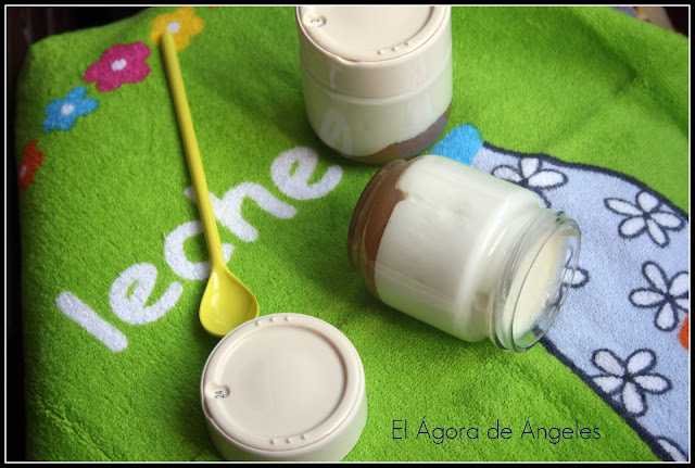 Yogur De Leche Fresca Con Compota De Manzana
