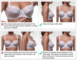 How to know your right bra size