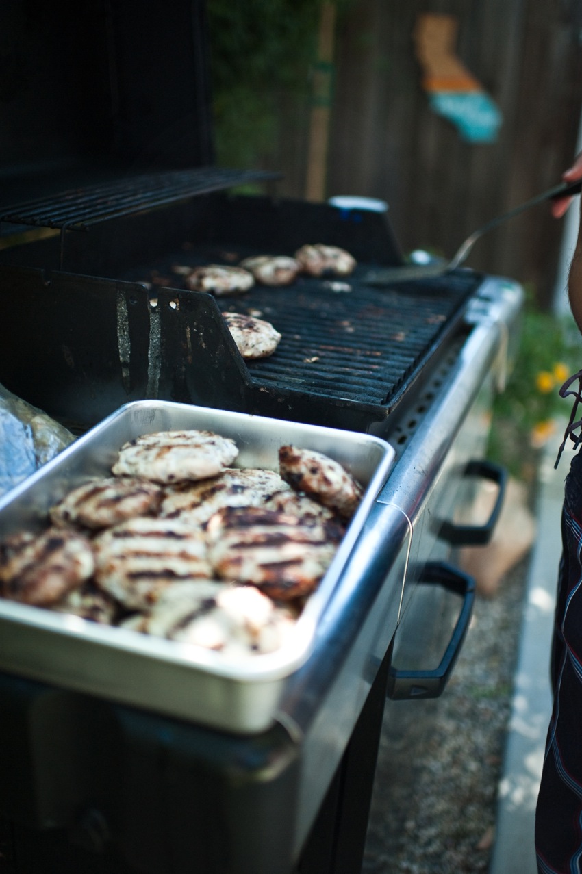 siriously delicious Guest Post Go Greek BBQ