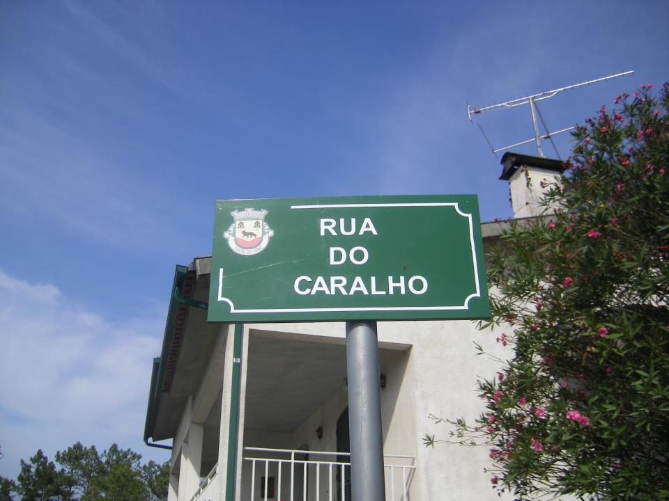 [Image: Rua.jpg]