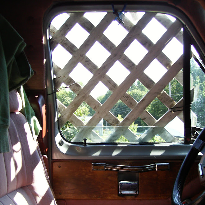 Cat Proofing the Windows