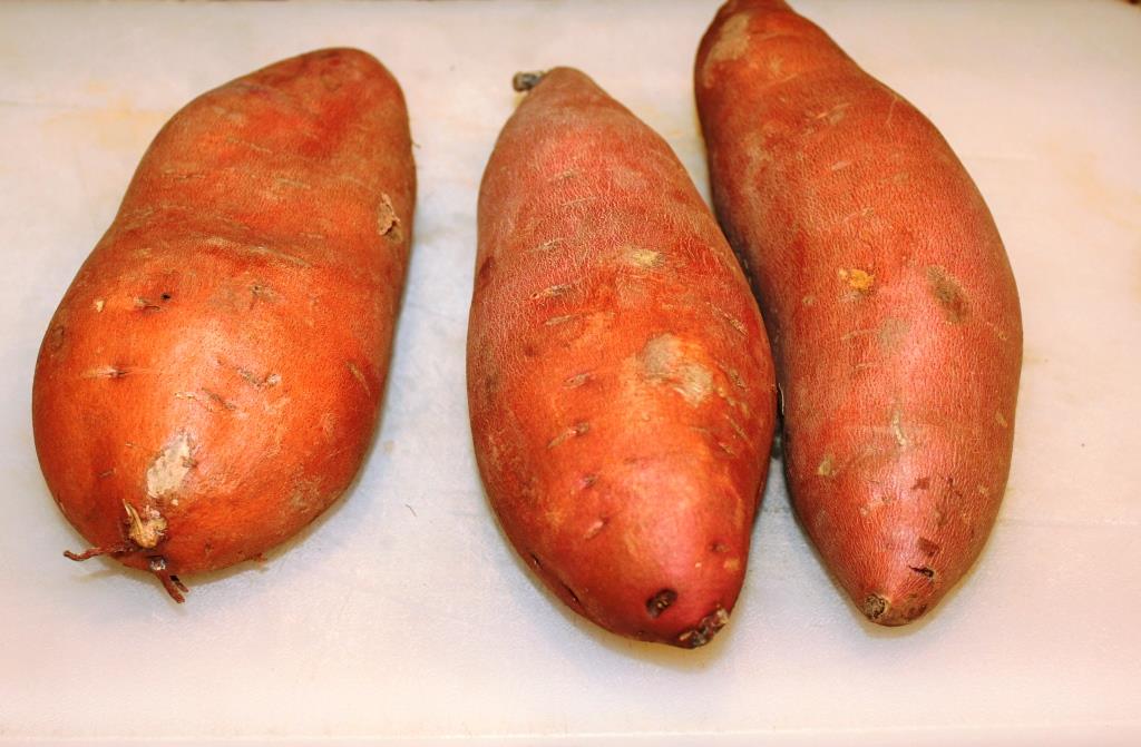 Adventures of Border Collies in the Burbs Yam and Sweet Potato Dog Chews