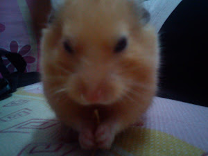 my pet =)