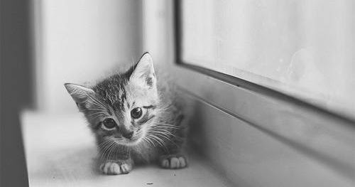 Opisy dla każdego: Cytaty o życiu :)