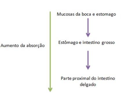 Alcoolismo artigos