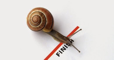 Pharmaceutical customer service associate cover letter image 5