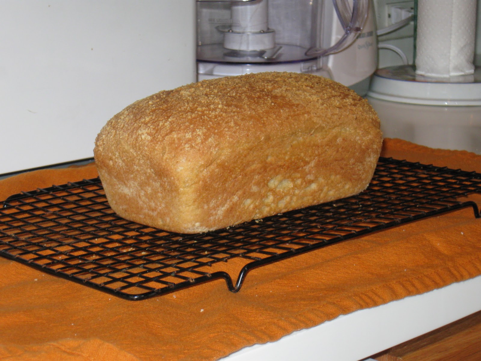 FloridaCharlie Low Carb almond Bread made with BreadMachine