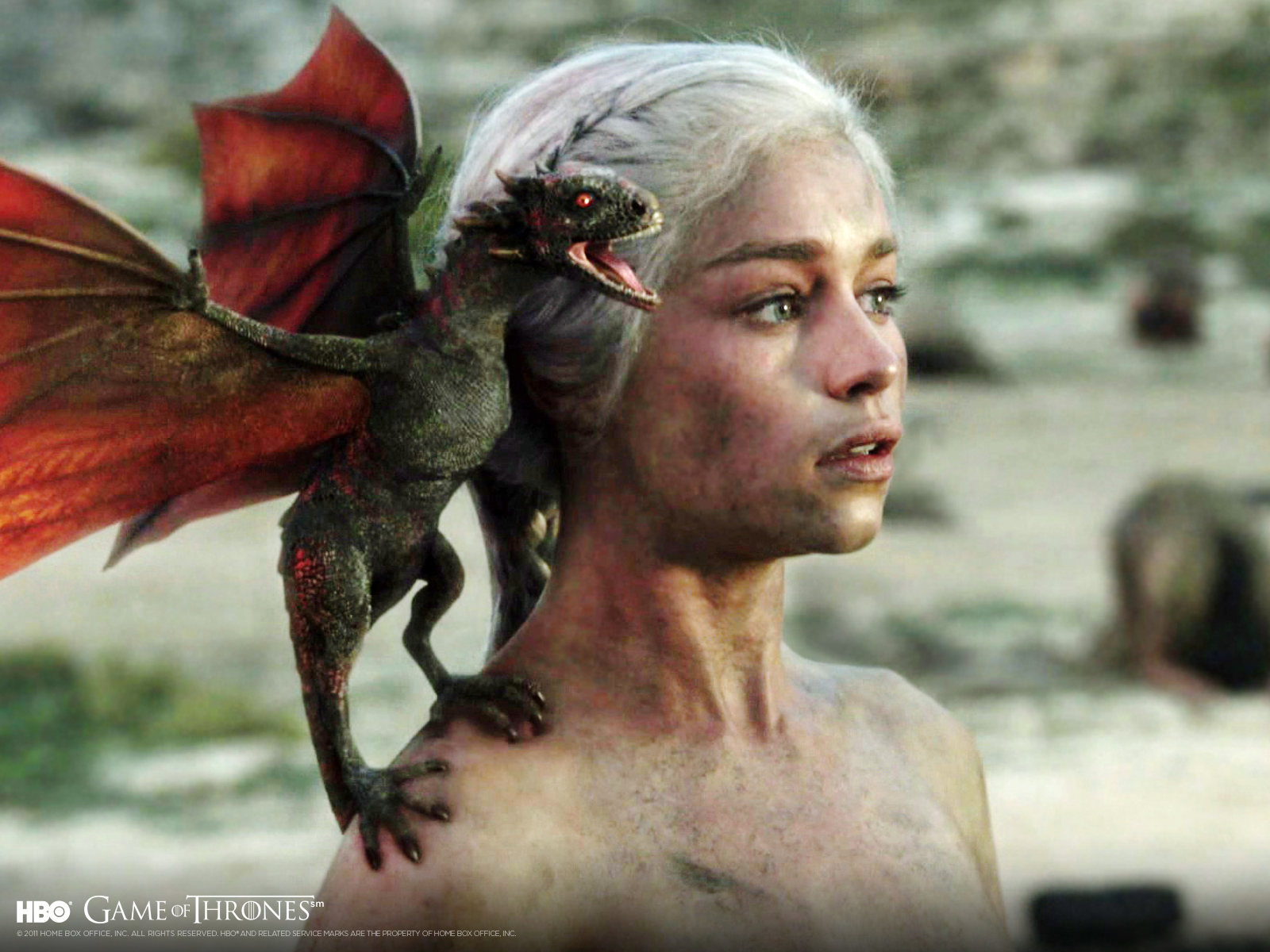 http://2.bp.blogspot.com/-afspW-oHJ0c/T2f14X6pE0I/AAAAAAAAAks/3VX8e1K4yZk/s1600/wallpaper-daenerys-dragon-1600.jpg