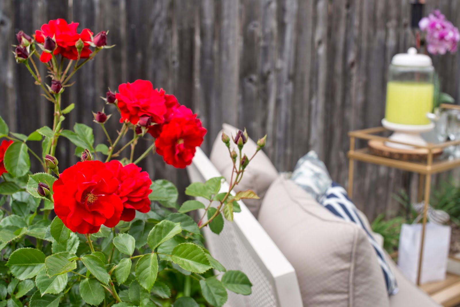 Domestic Fashionista: Backyard Patio Dinner Party