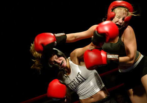 Does Cat Fighting Exsist Like Dog Fighting Does Cat Fighting Exsist Like Dog Fighting