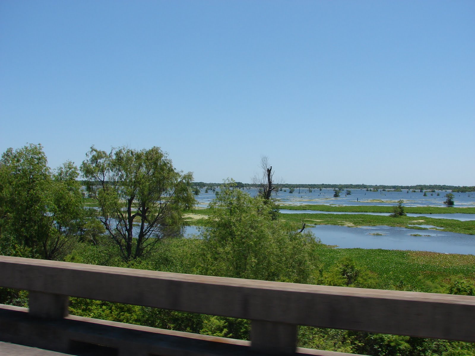 Ploughing Through Life Butte La Rose and Henderson Louisiana...BEFORE