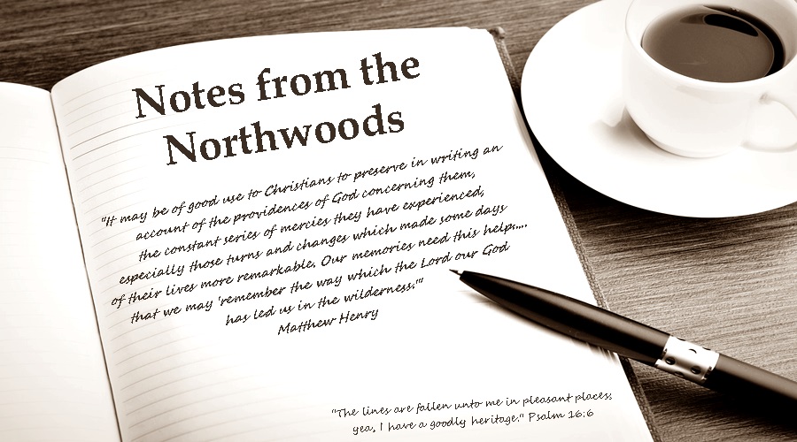 Notes from the Northwoods