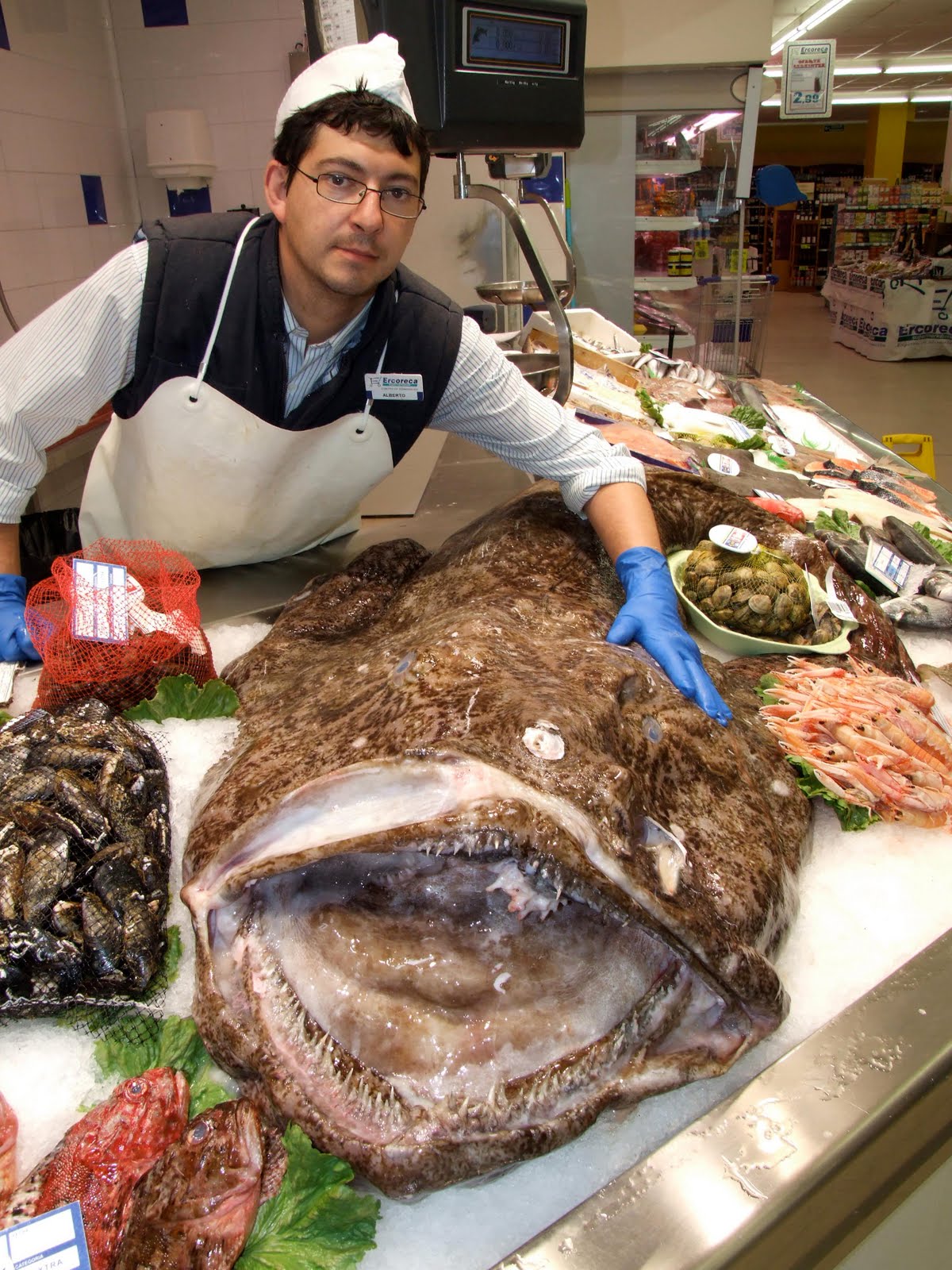 Las recetas de Alberto