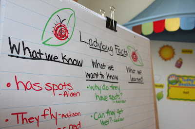 Mrs. Amador's Home Daycare: Ladybug Learning Time!