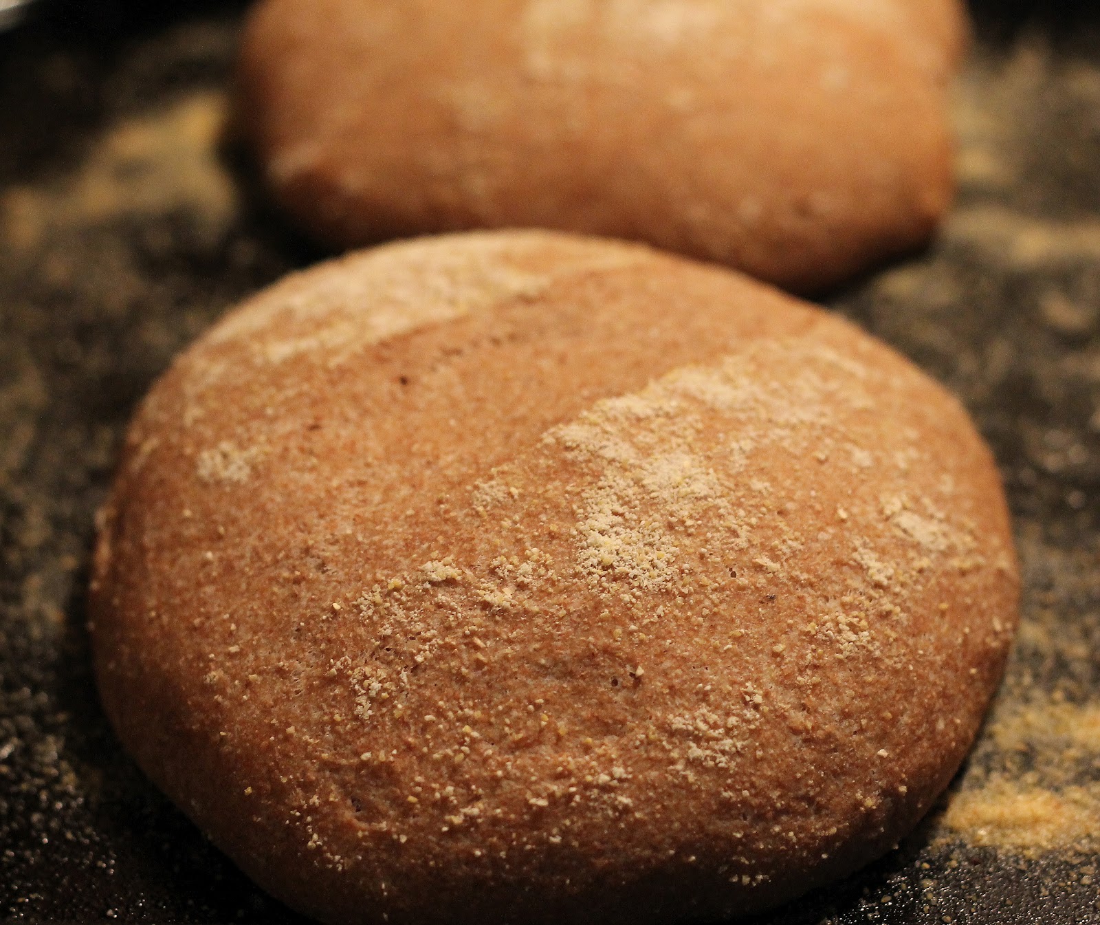 A Slice of Texas blog Whole Wheat Artisan Bread