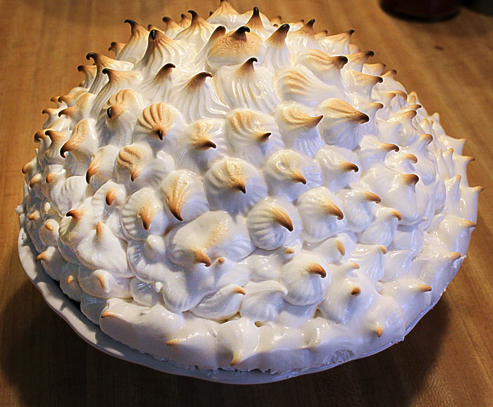 Ingredients of a 20something Baked Alaska, penuche and cat treats