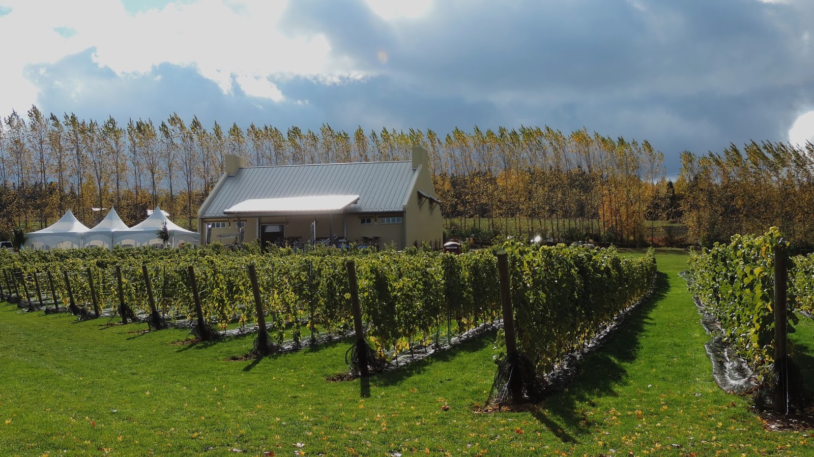 Travel with Kevin and Ruth! Gaspereau Valley wine