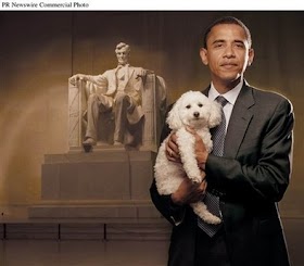 Barack Obama Dog