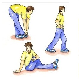 les étirements musculaires