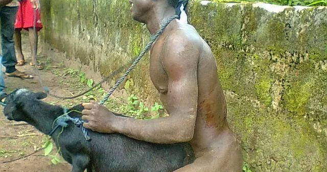 girls having sex with a goat girls having sex with a goat